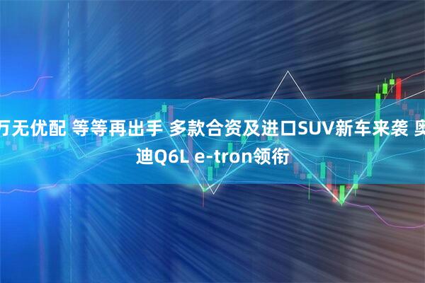 万无优配 等等再出手 多款合资及进口SUV新车来袭 奥迪Q6L e-tron领衔