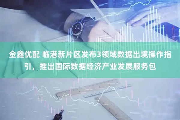 金鑫优配 临港新片区发布3领域数据出境操作指引，推出国际数据经济产业发展服务包