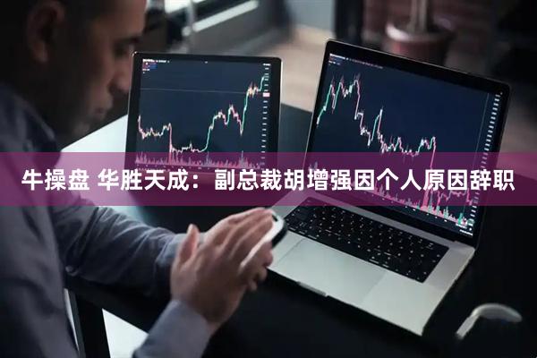 牛操盘 华胜天成：副总裁胡增强因个人原因辞职