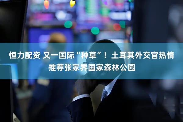 恒力配资 又一国际“种草”！土耳其外交官热情推荐张家界国家森林公园