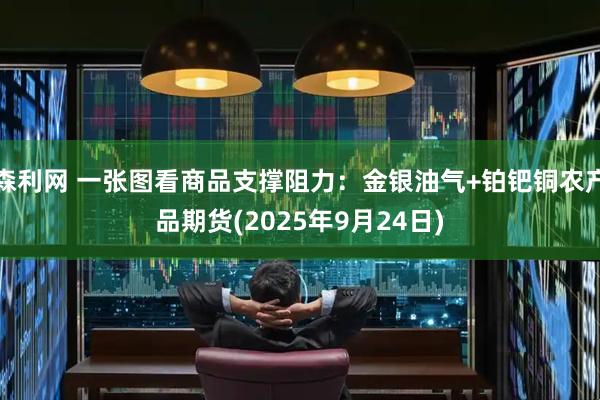 森利网 一张图看商品支撑阻力：金银油气+铂钯铜农产品期货(2025年9月24日)