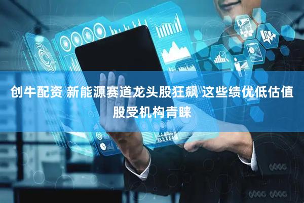 创牛配资 新能源赛道龙头股狂飙 这些绩优低估值股受机构青睐
