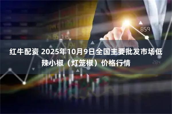 红牛配资 2025年10月9日全国主要批发市场低辣小椒（灯笼椒）价格行情