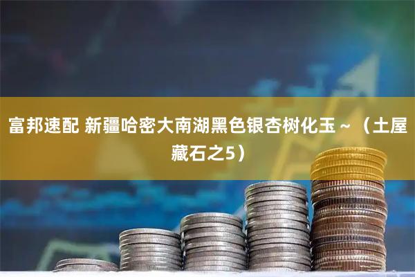 富邦速配 新疆哈密大南湖黑色银杏树化玉～（土屋藏石之5）