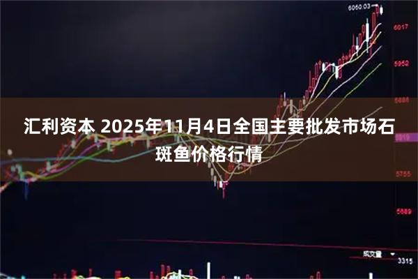 汇利资本 2025年11月4日全国主要批发市场石斑鱼价格行情