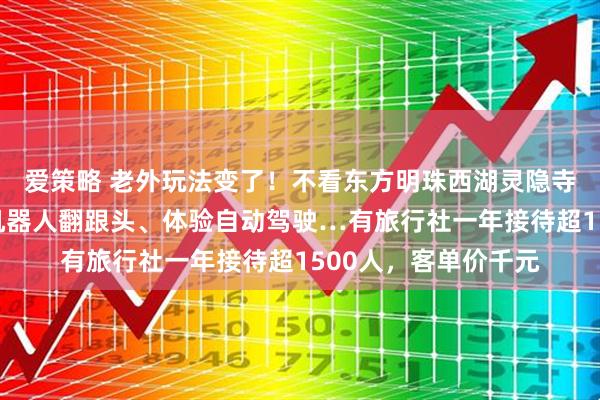 爱策略 老外玩法变了！不看东方明珠西湖灵隐寺，扎堆来长三角看机器人翻跟头、体验自动驾驶…有旅行社一年接待超1500人，客单价千元